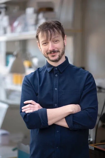 David Tamborero profile photo